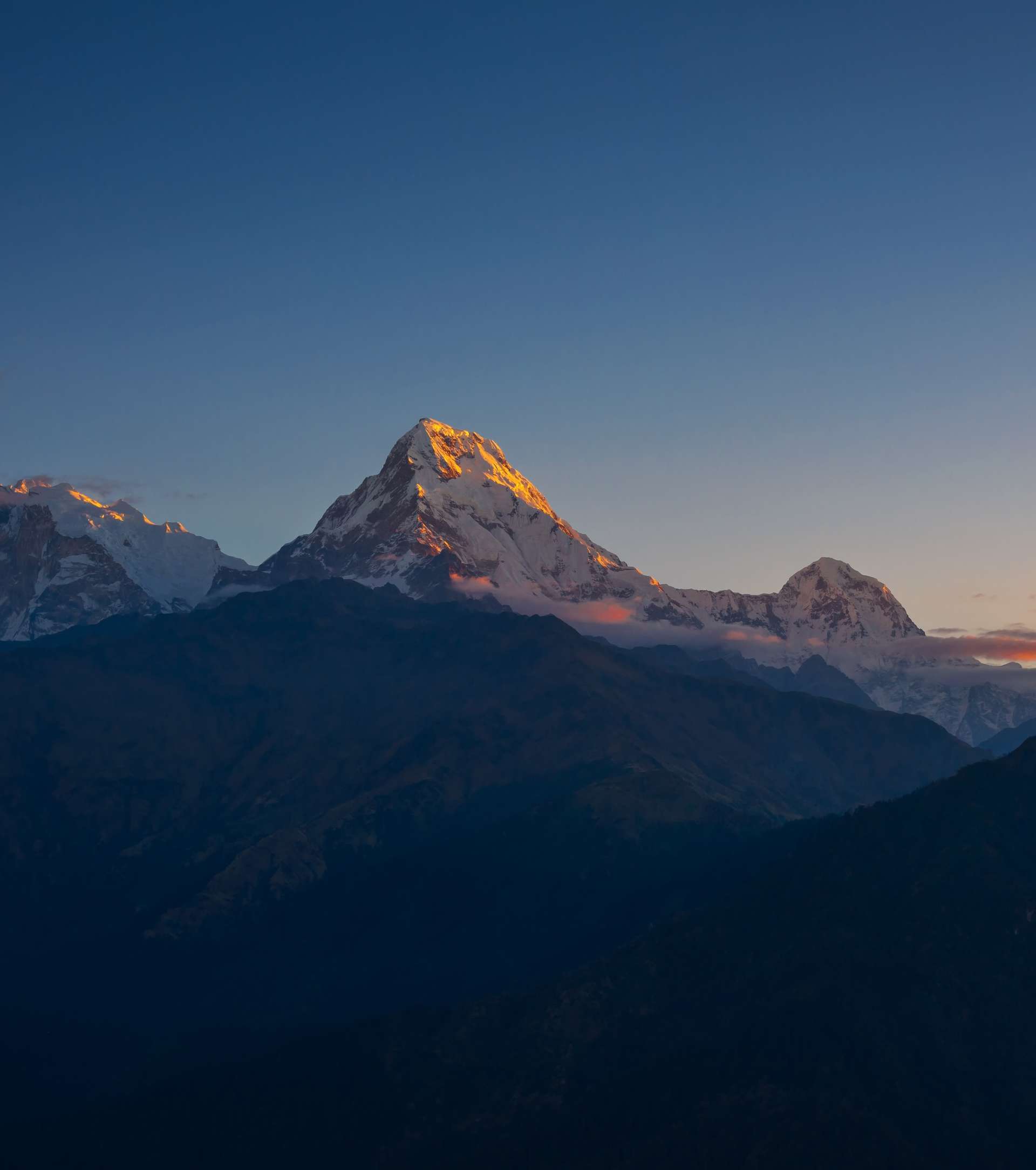 10 Best Tours and Trips in Poonhill trek in 2025/2026 - Compare Prices