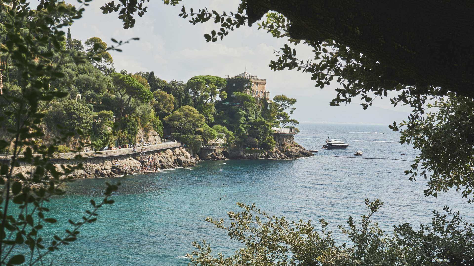 Portofino Tours and Trips