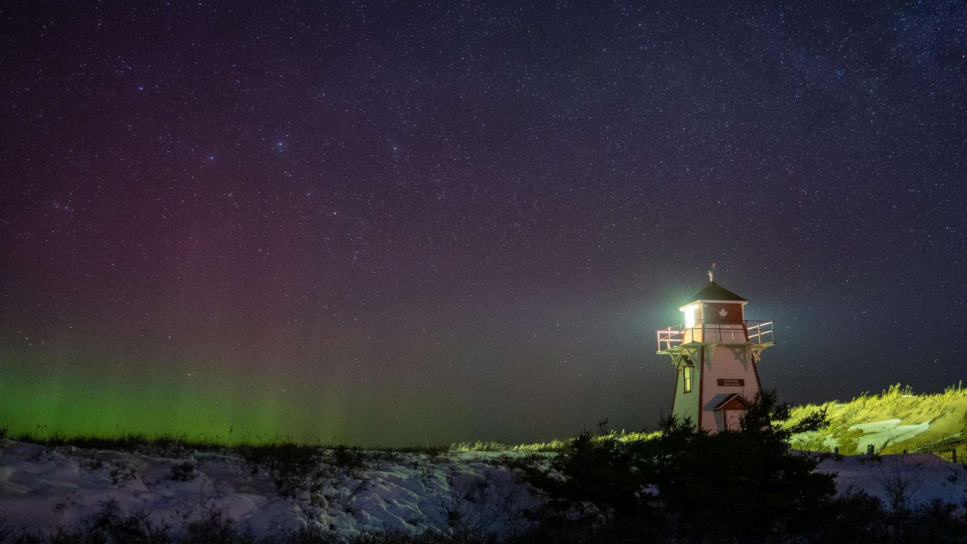 Prince Rupert Tours and Trips