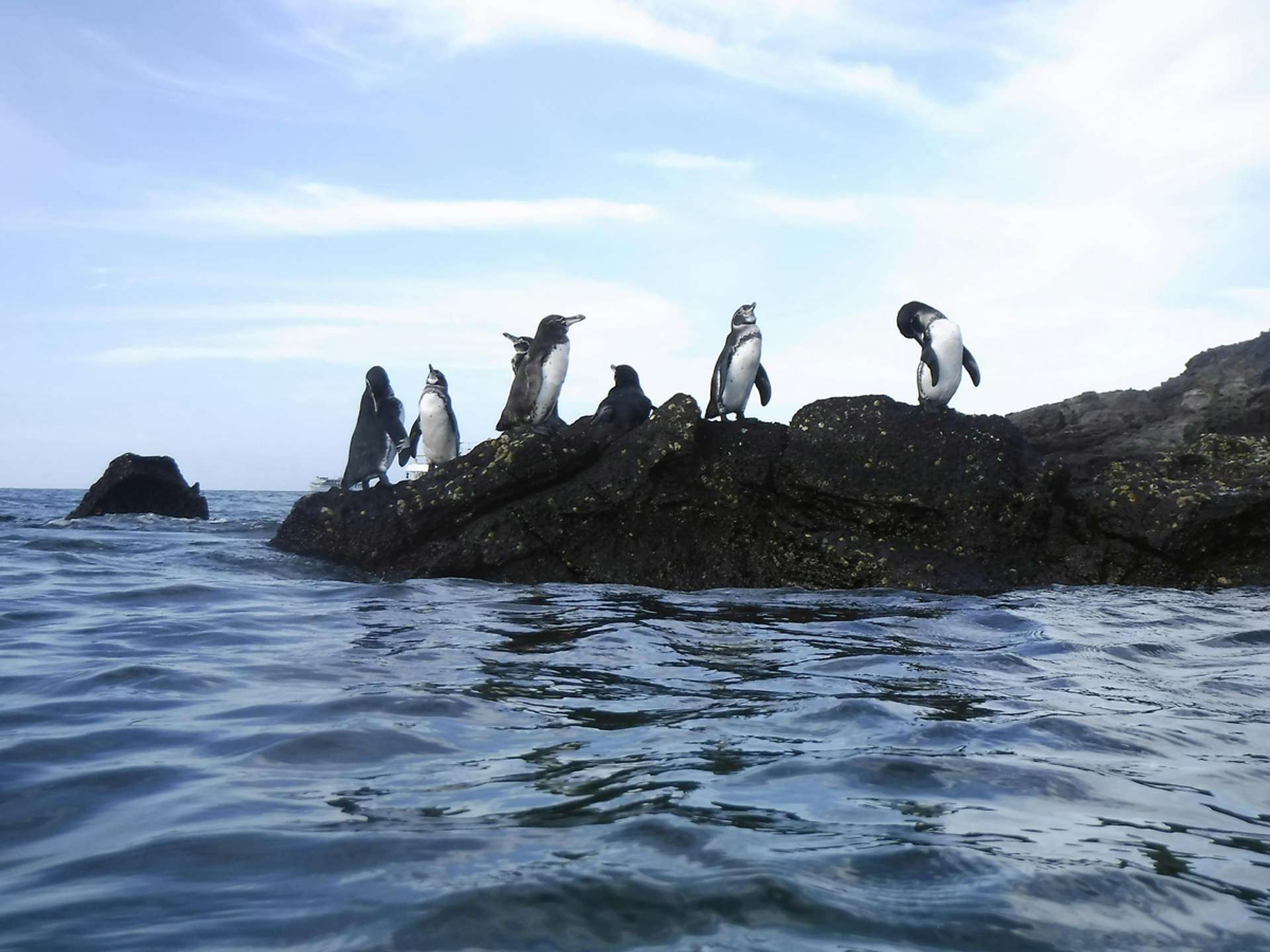 10 Best Puerto Ayora Multiday Tours in March 2026