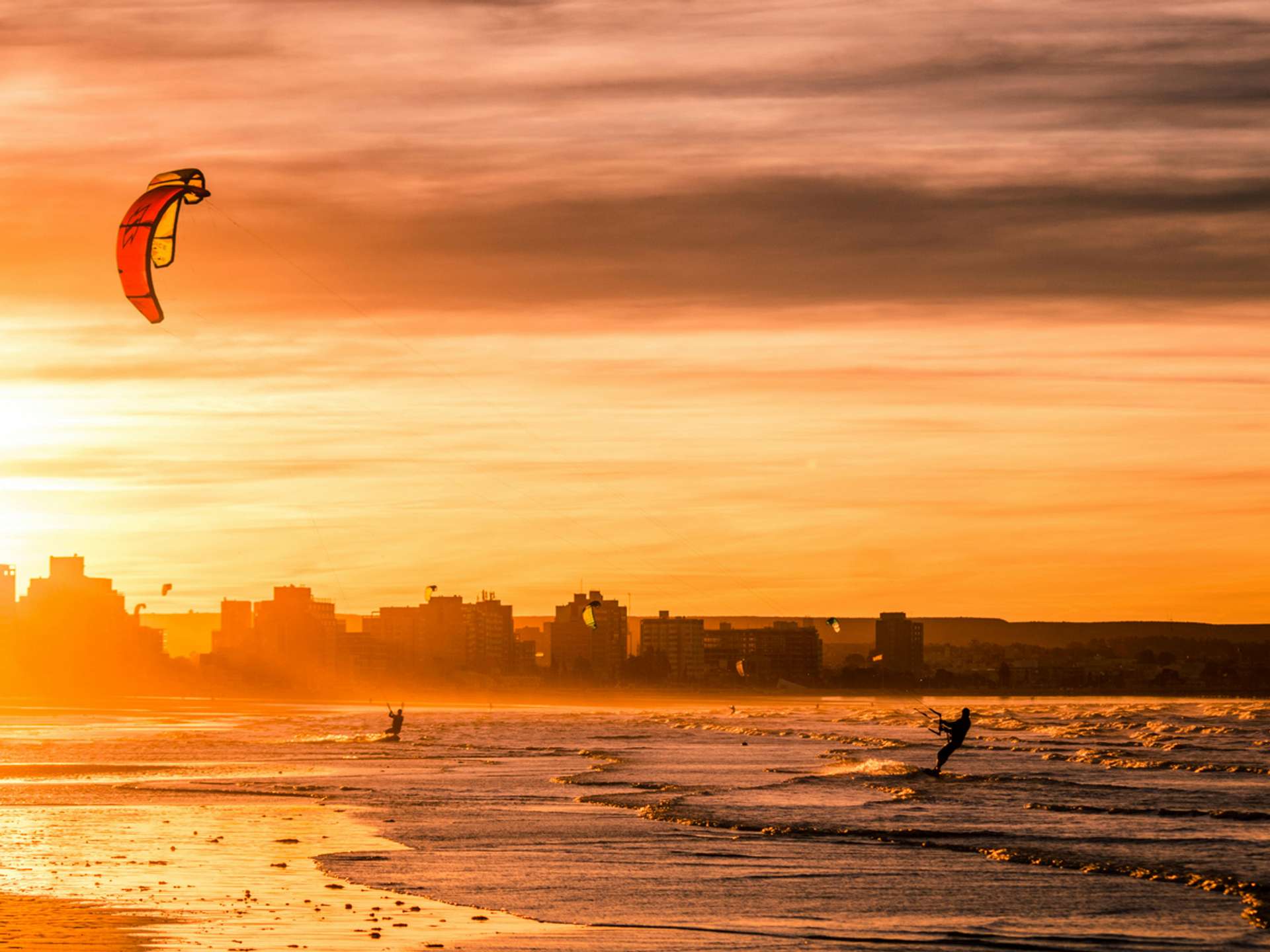 10 Best Tours and Trips in Puerto Madryn in 2025/2026 - Compare Prices