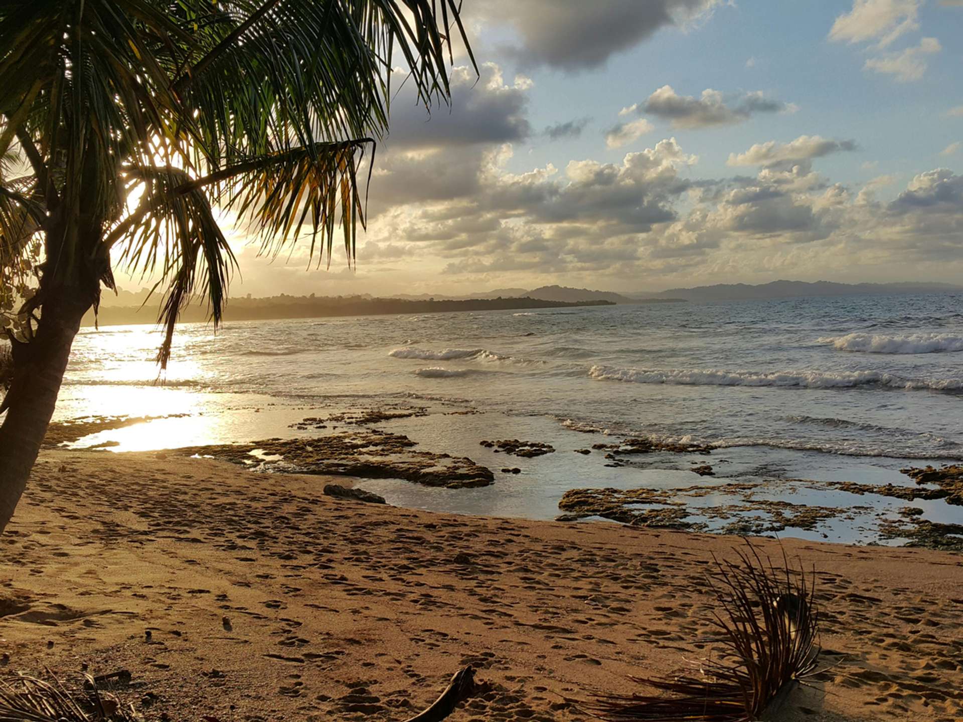 10 Best Tours and Trips in Puerto Viejo de Talamanca in 2025/2026 - Compare Prices