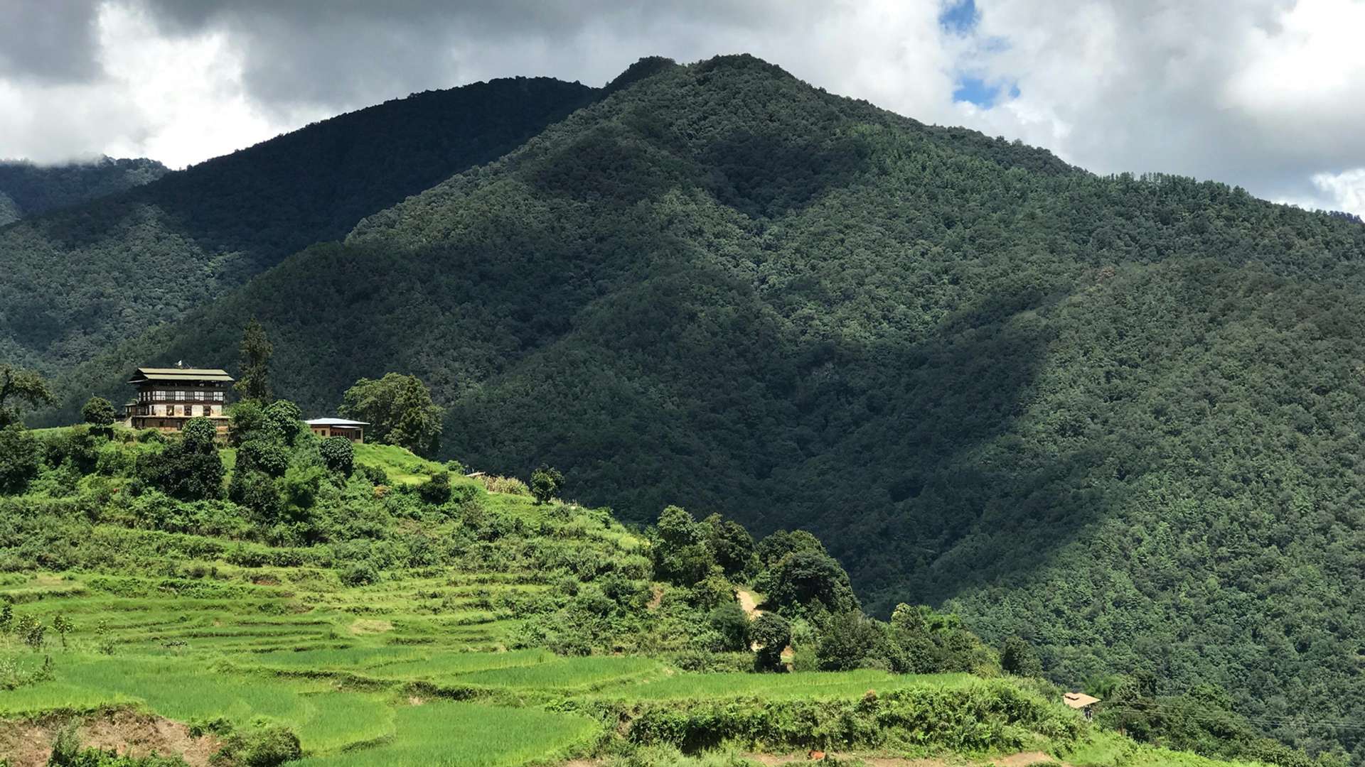 Punakha Tours and Trips