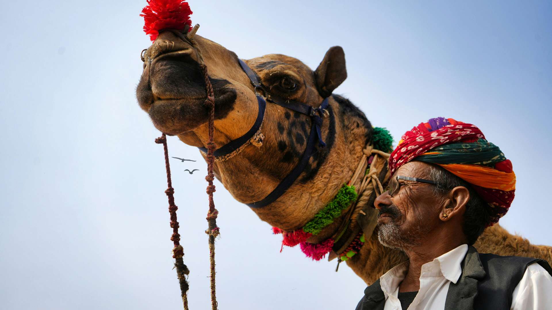 Pushkar Tours and Trips
