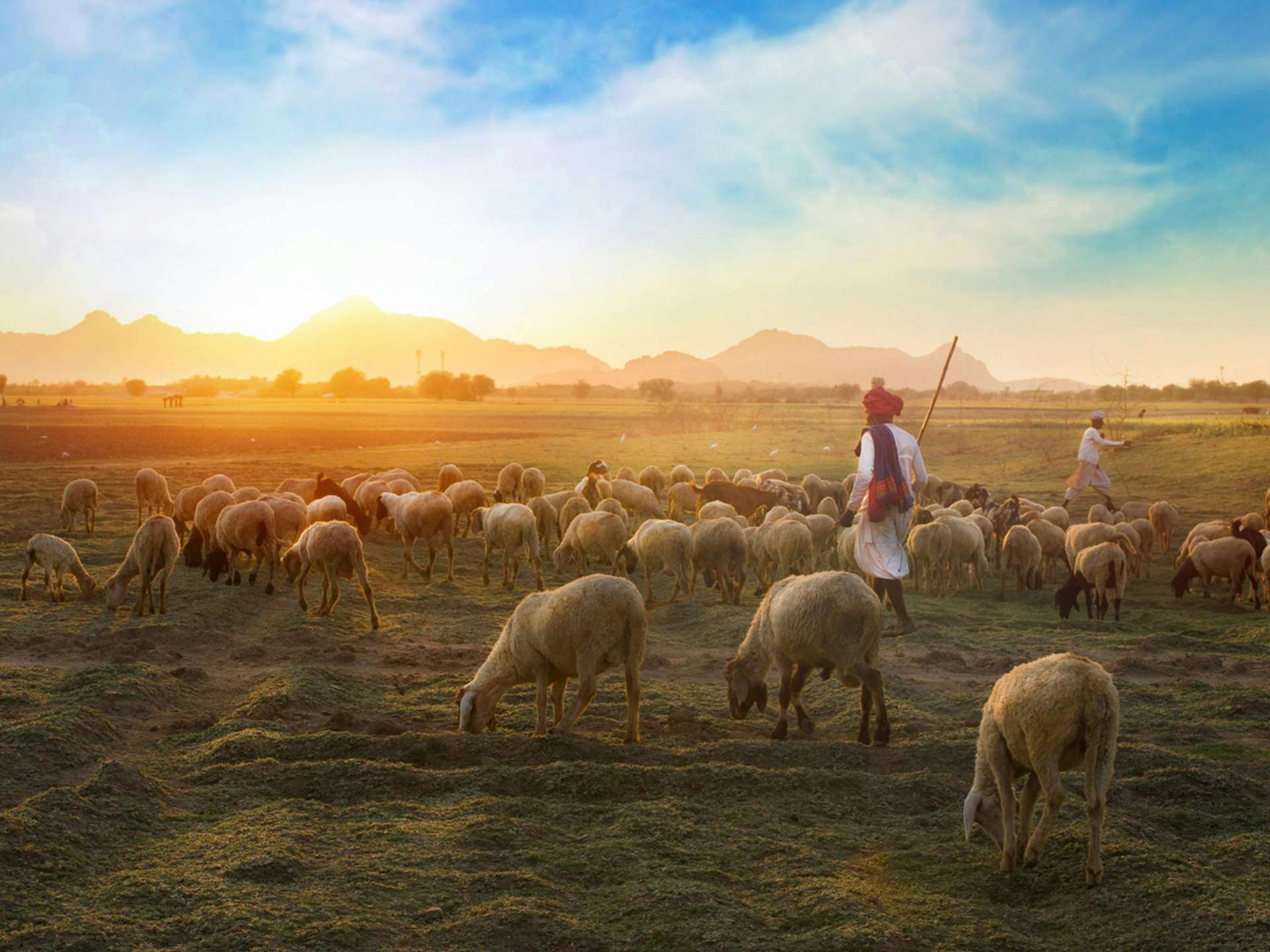 10 Best Tours and Trips in Rajasthan in 2025/2026 - Compare Prices