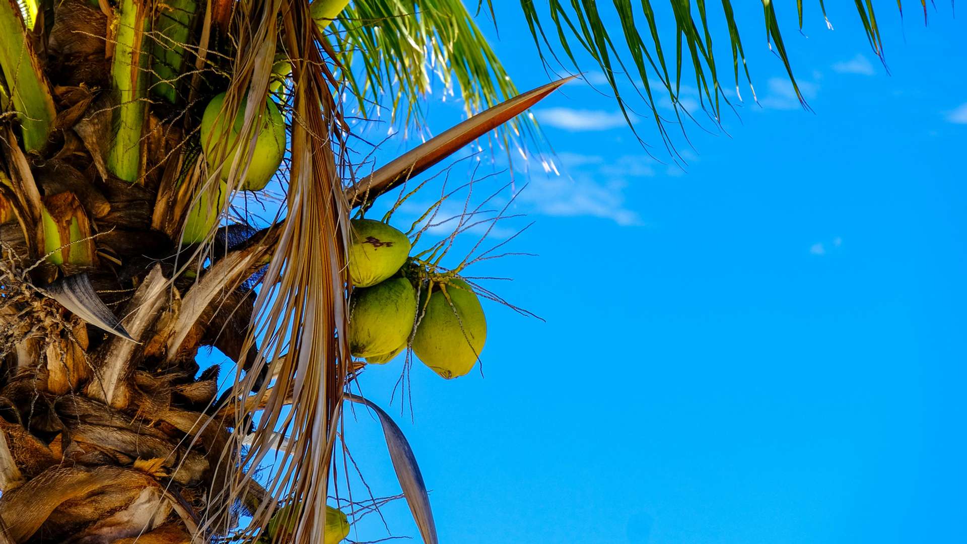 Republic of Mauritius Tours and Trips