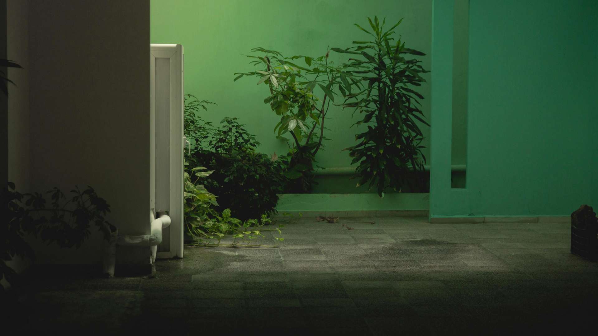 Rethimno Tours and Trips