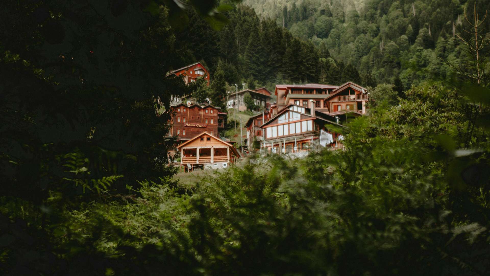 Rize Tours and Trips