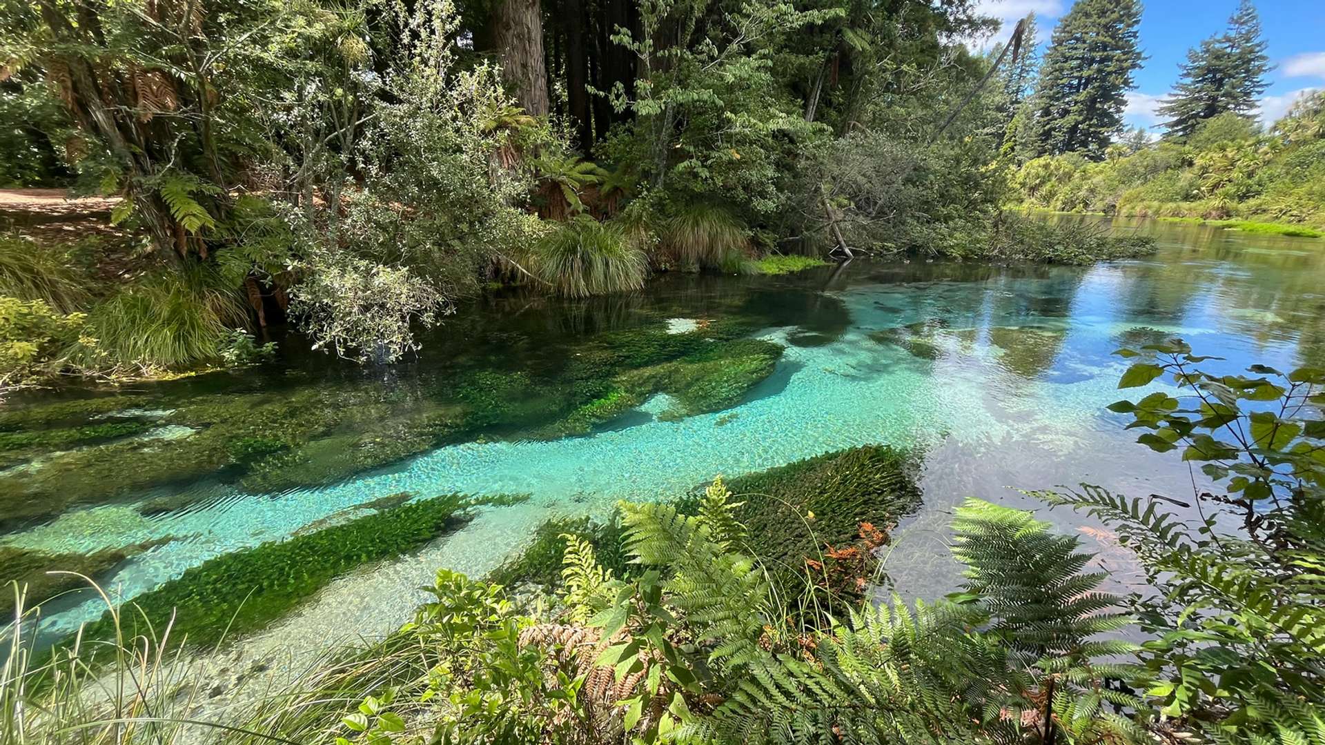 Rotorua Tours in October 2027