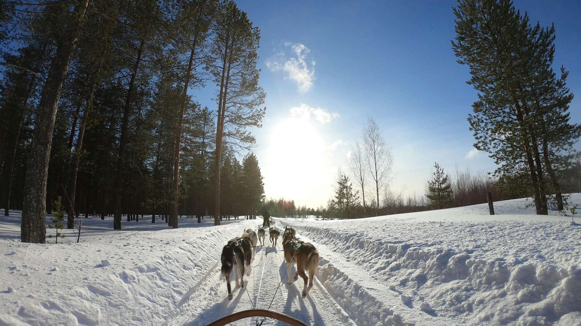 Rovaniemi Tours and Trips