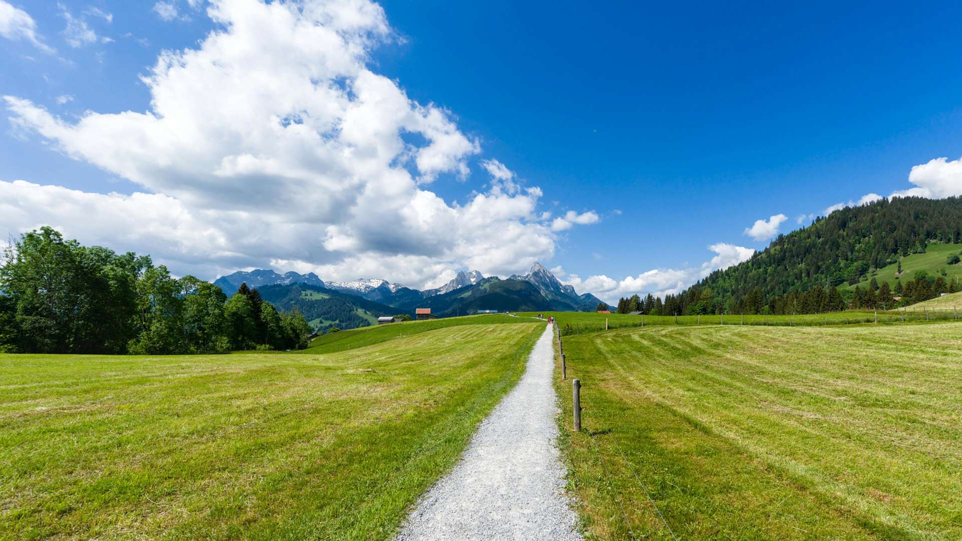 Saanen Tours and Trips