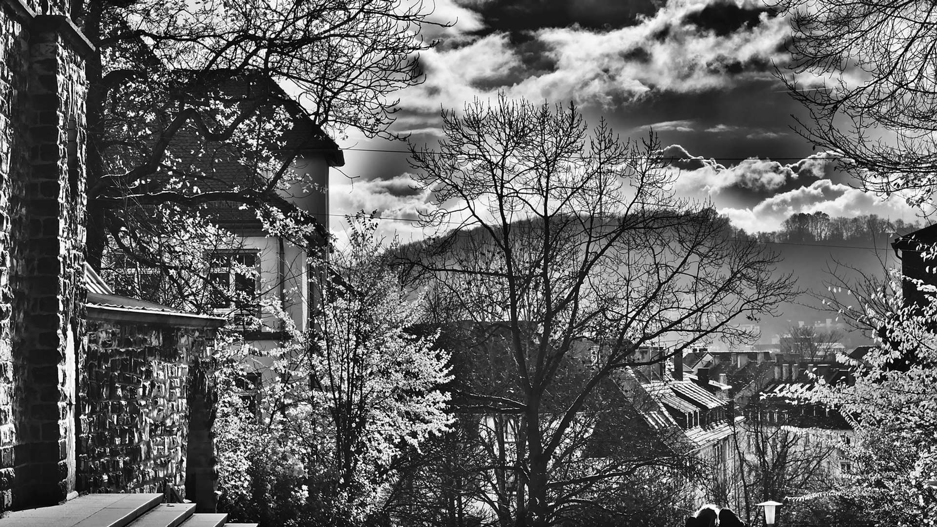 Saarbrucken Tours and Trips