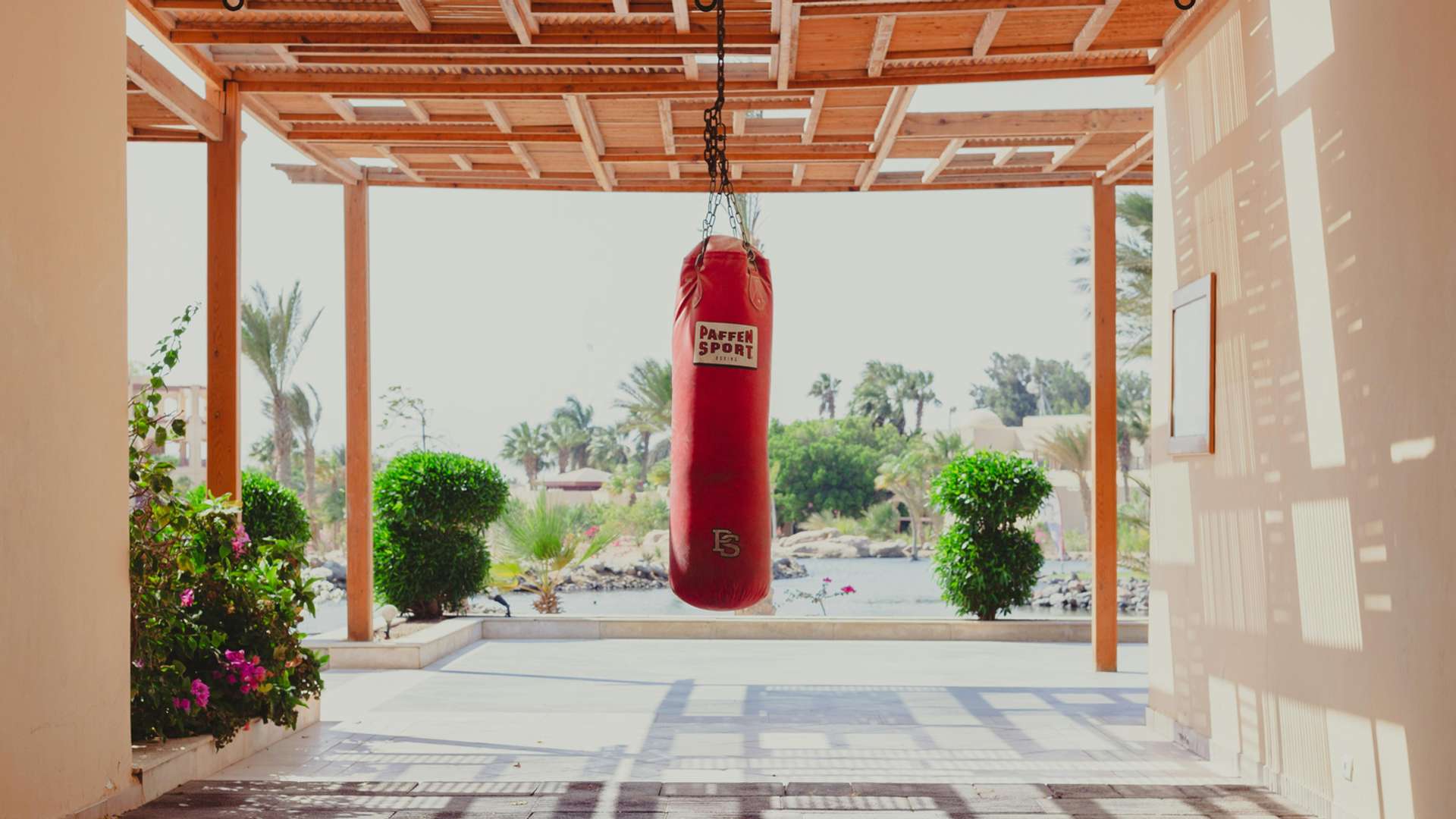 Safaga Tours and Trips