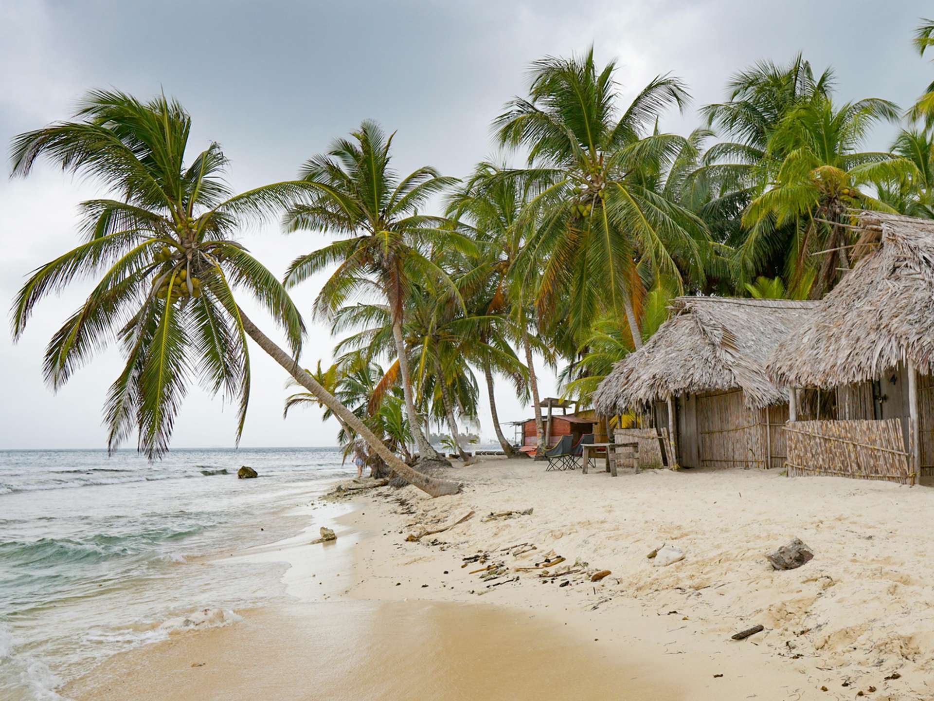 10 Best Tours and Trips in San Blas Islands in 2025/2026 - Compare Prices