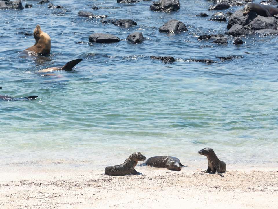 Top San Cristobal Island tours