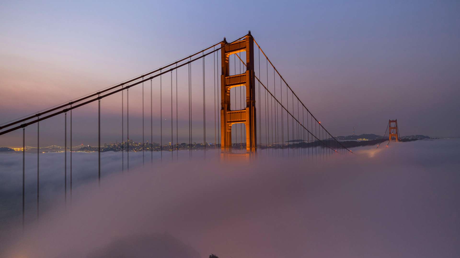 San Francisco City sightseeing Trips