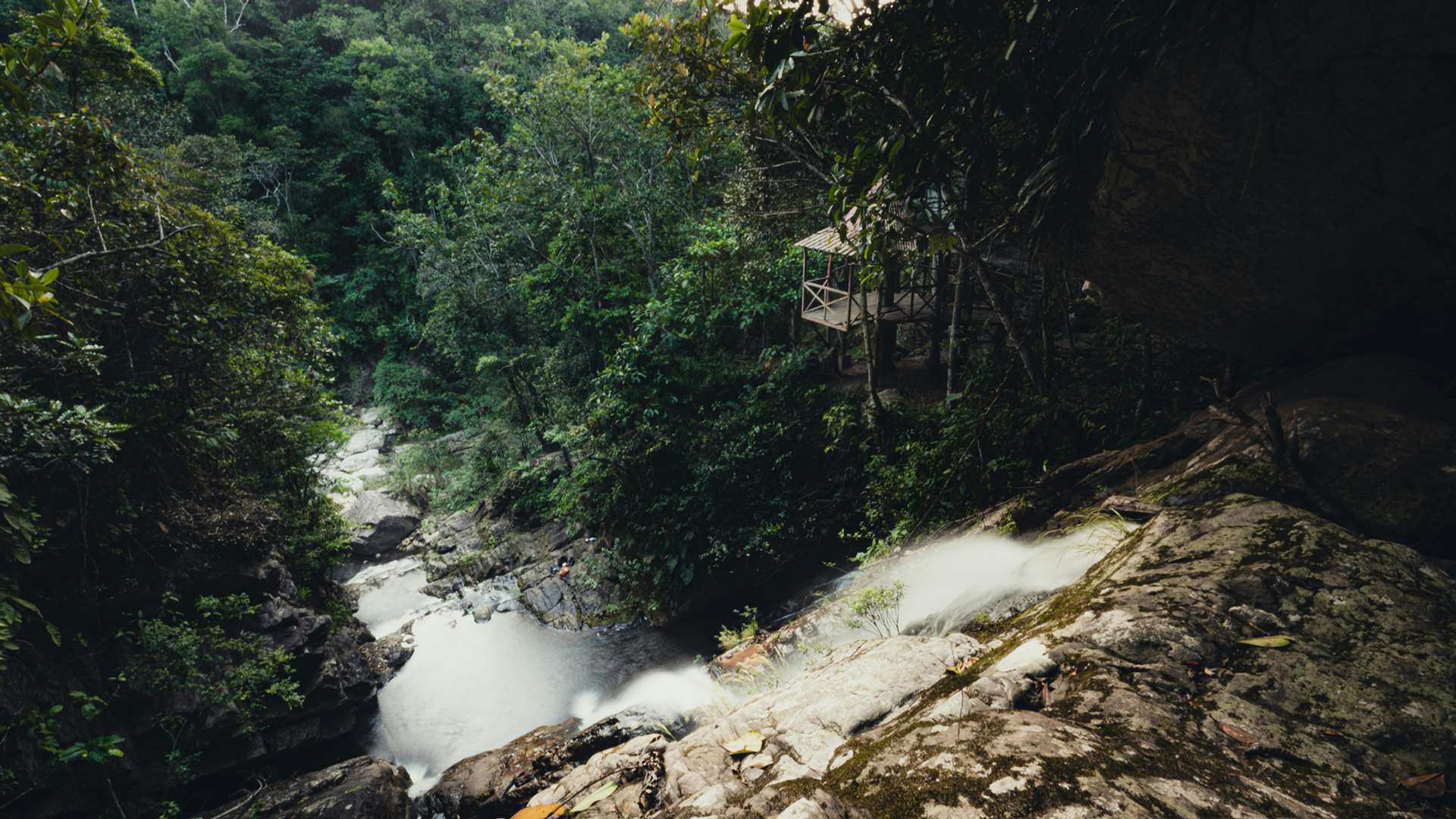 San Martin Tours and Trips