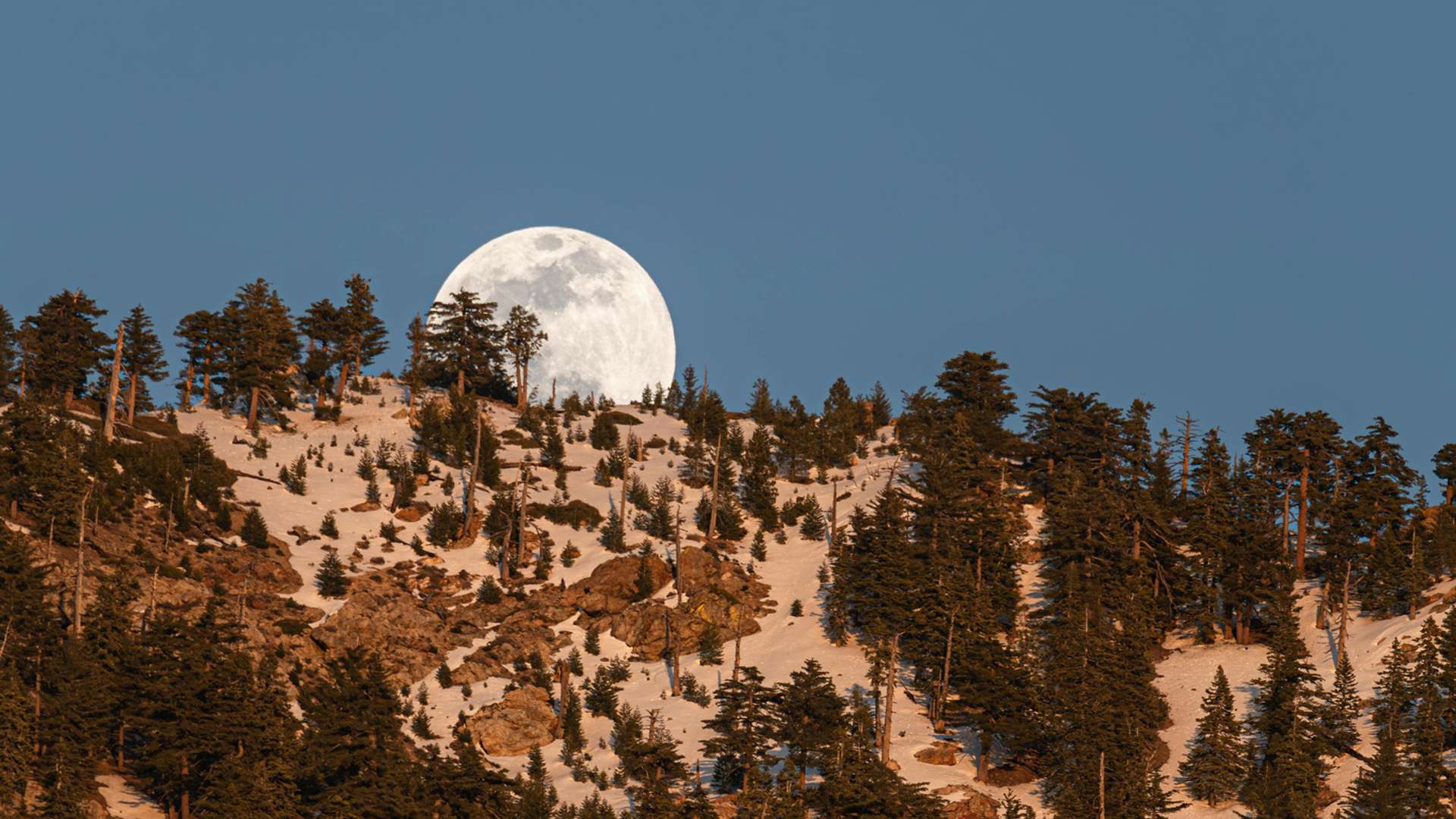 Santa Ana Tours and Trips