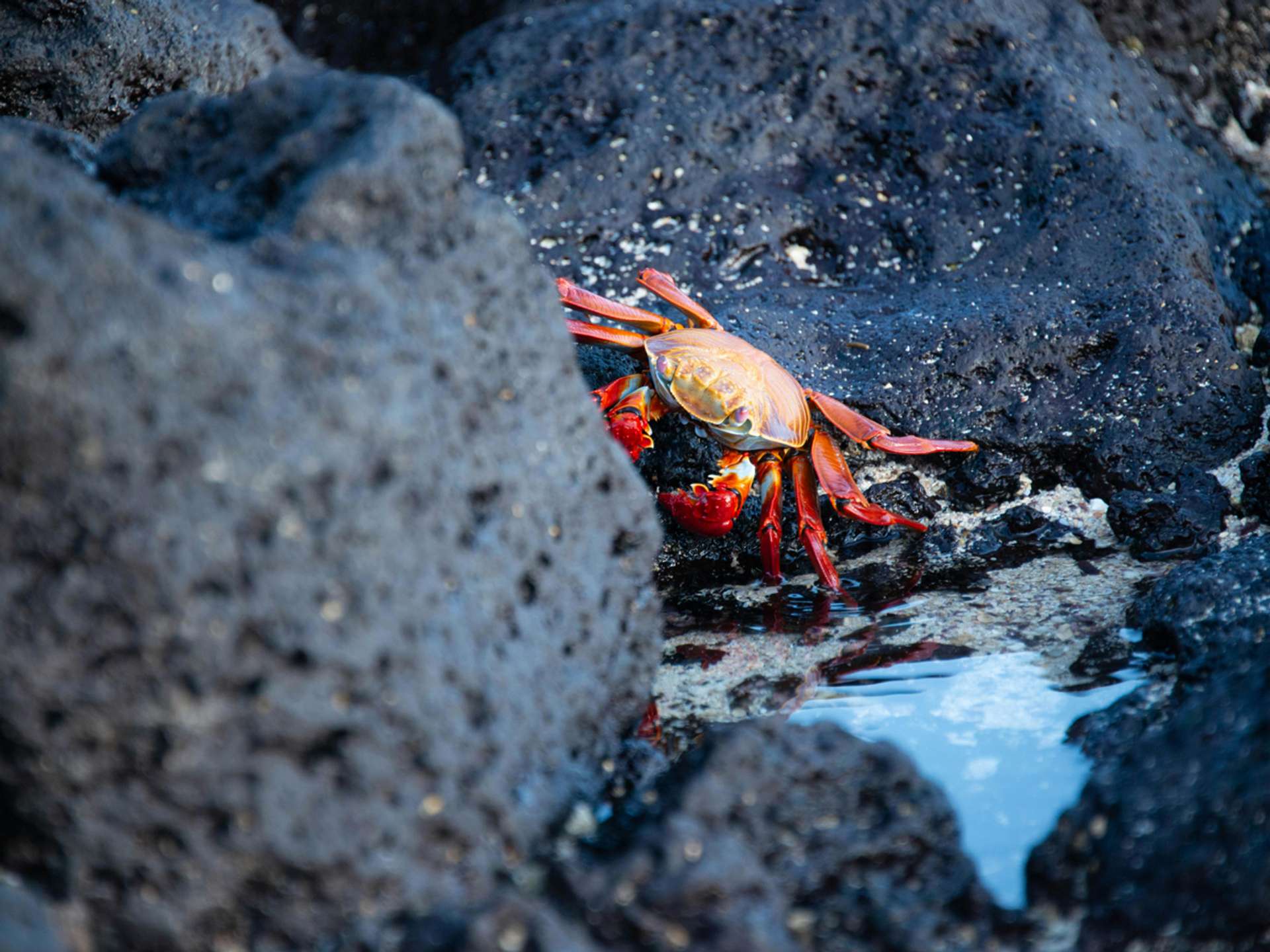 10 Best Santa Fe Island Multiday Tours in September 2026