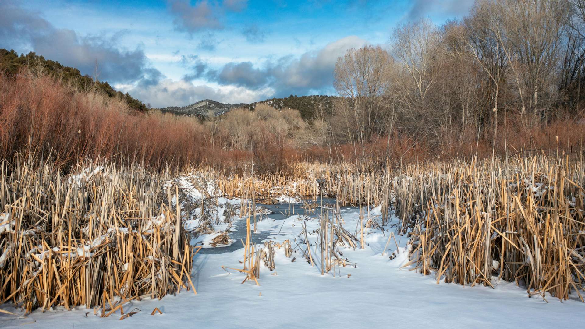 Santa Fe Tours and Trips