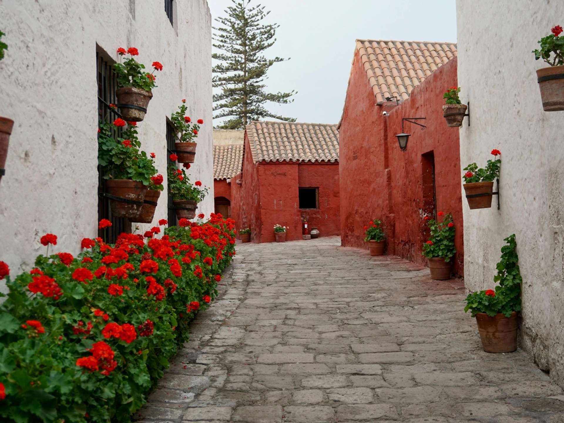 10 Best Tours and Trips in Santa Teresa in 2025/2026 - Compare Prices