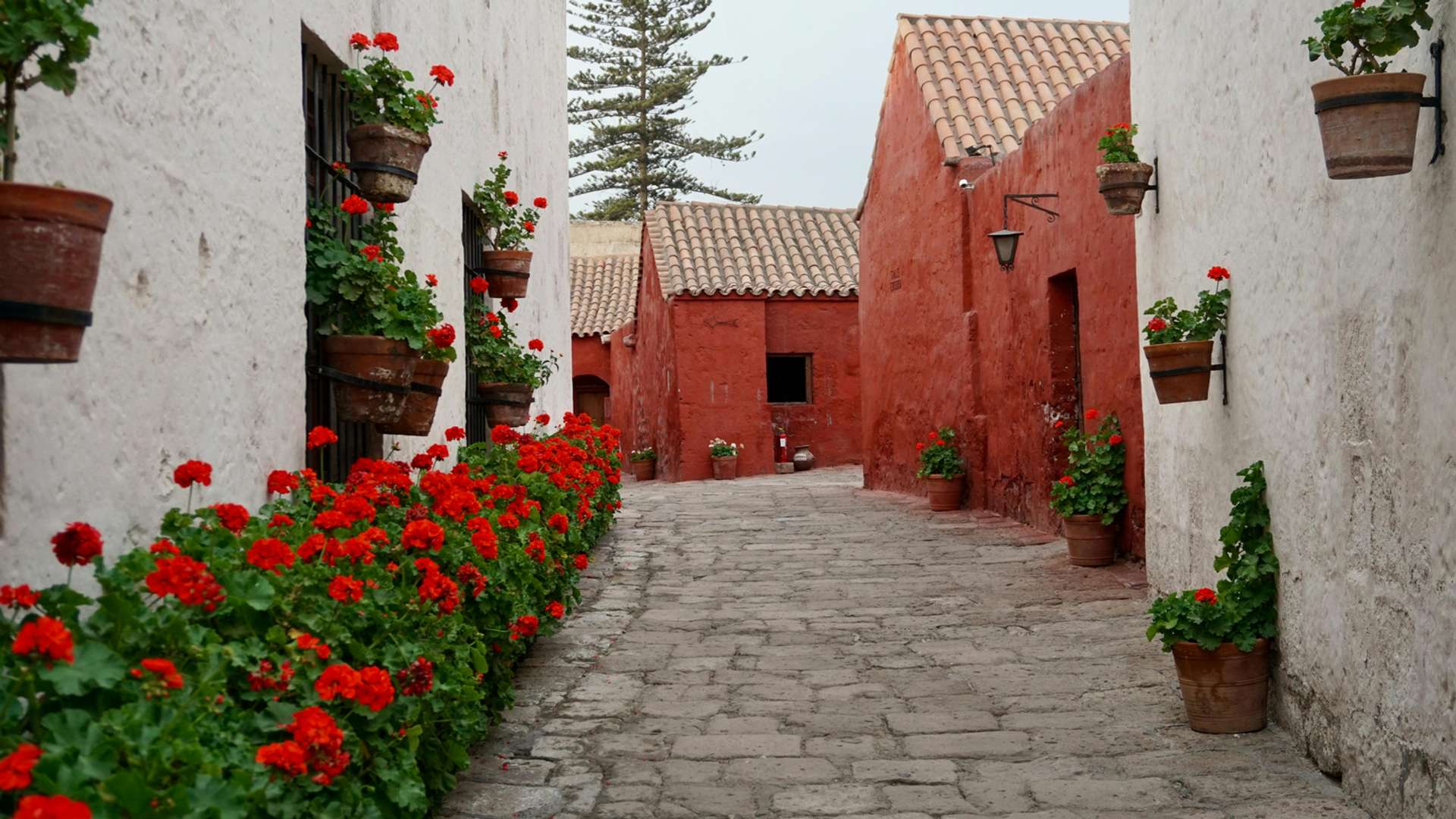 Santa Teresa Tours and Trips