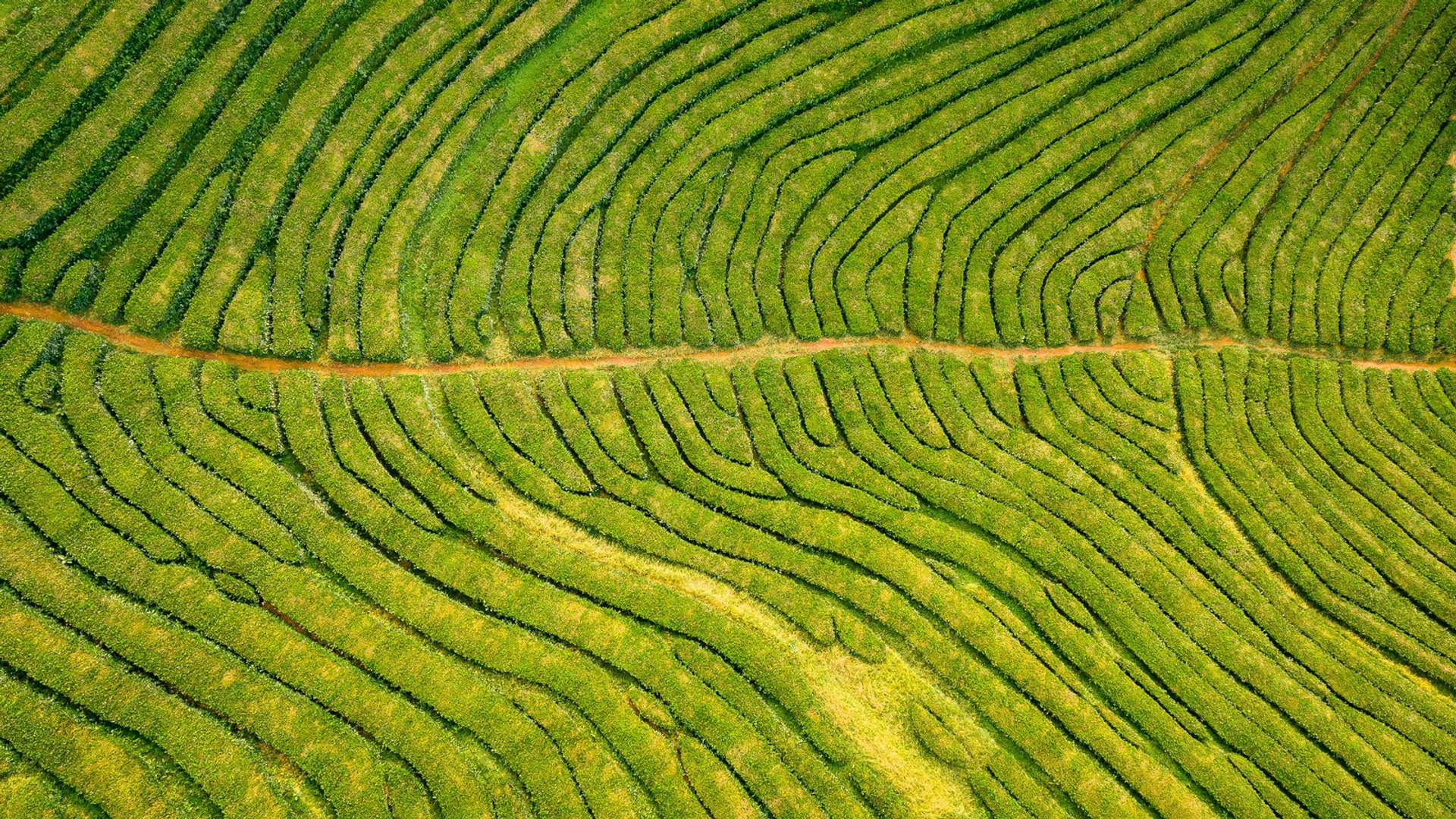 Sao Miguel Tours and Trips