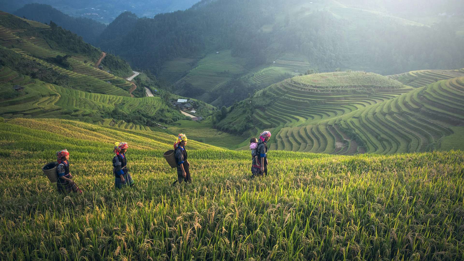 Sapa Trekking and Hiking Trips