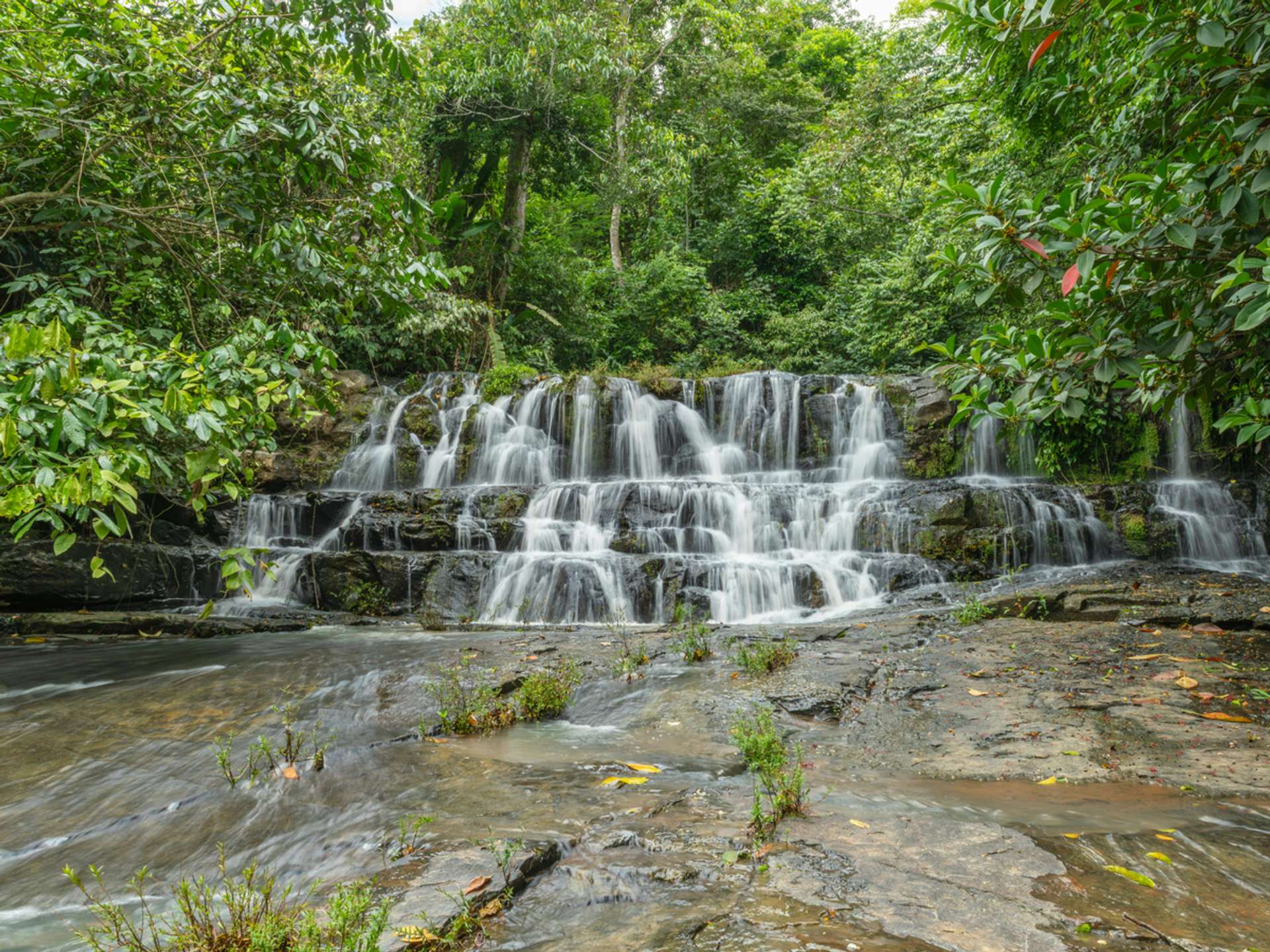 10 Best Tours and Trips in Sarapiqui in 2025/2026 - Compare Prices
