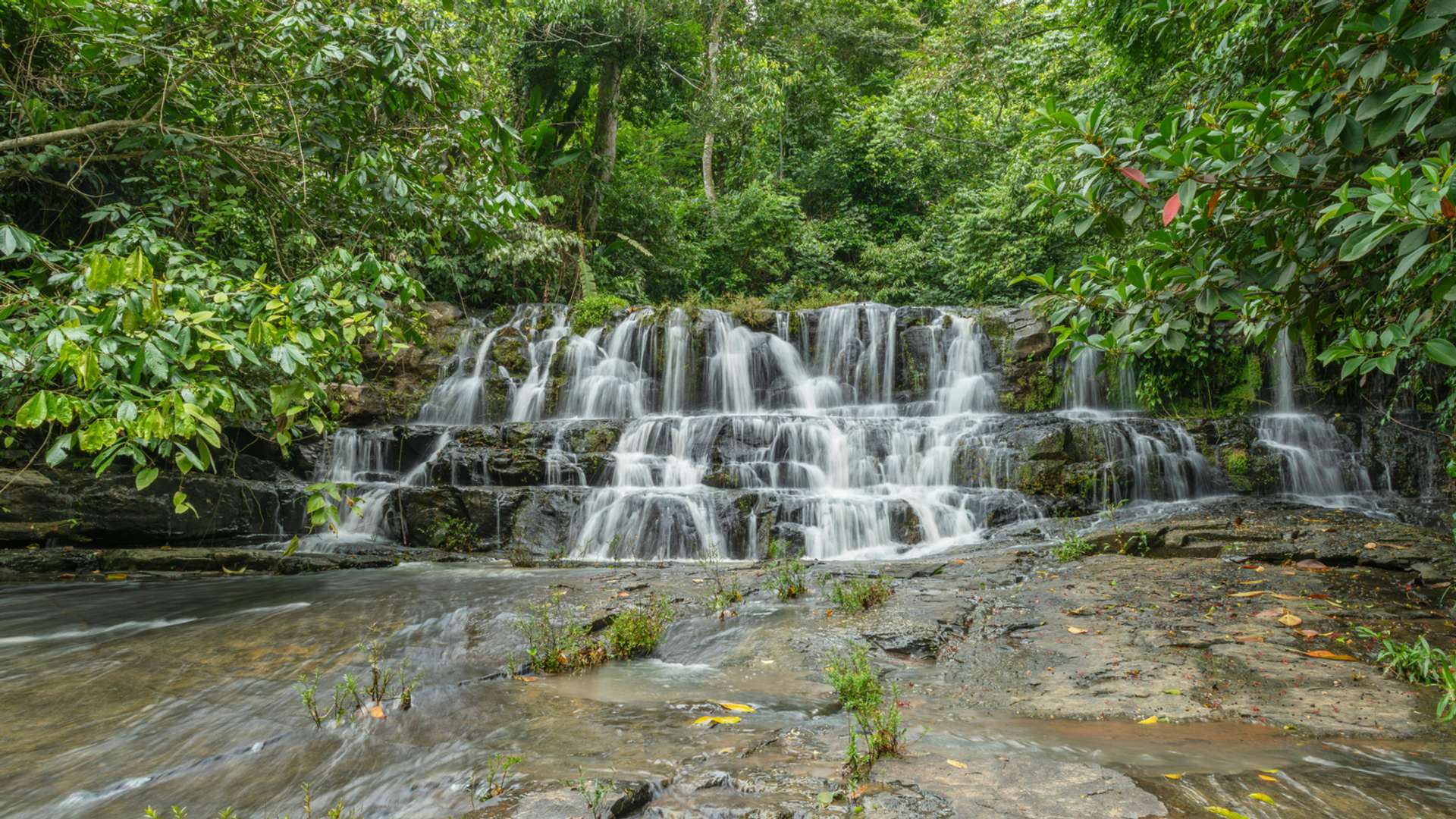 Sarapiqui Tours and Trips