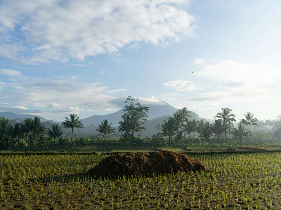 Top Seminyak  tours