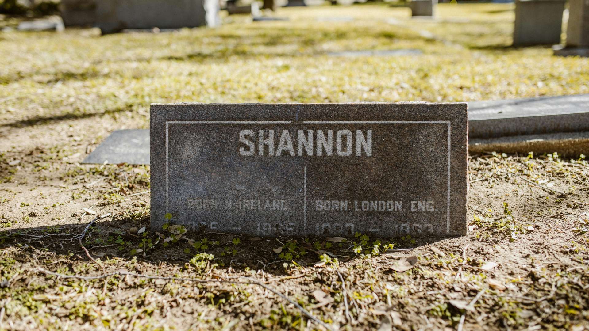 Shannon Tours and Trips