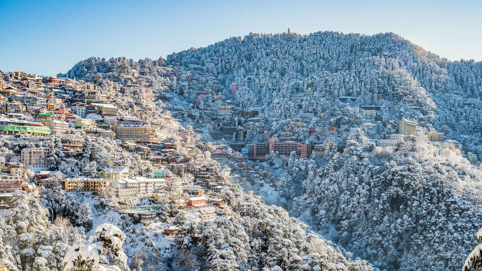 Shimla Tours and Trips