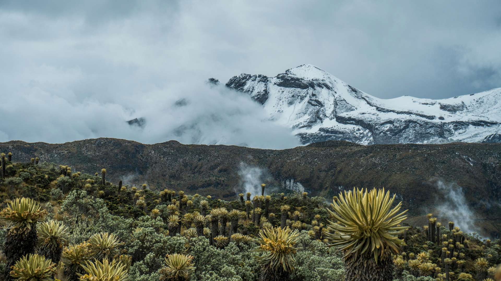 Sierra Nevada del Cocuy Tours and Trips