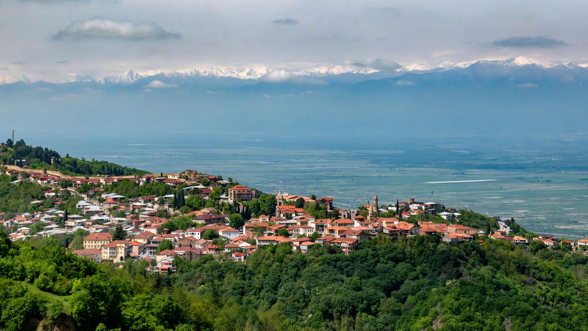 Signagi Tours and Trips