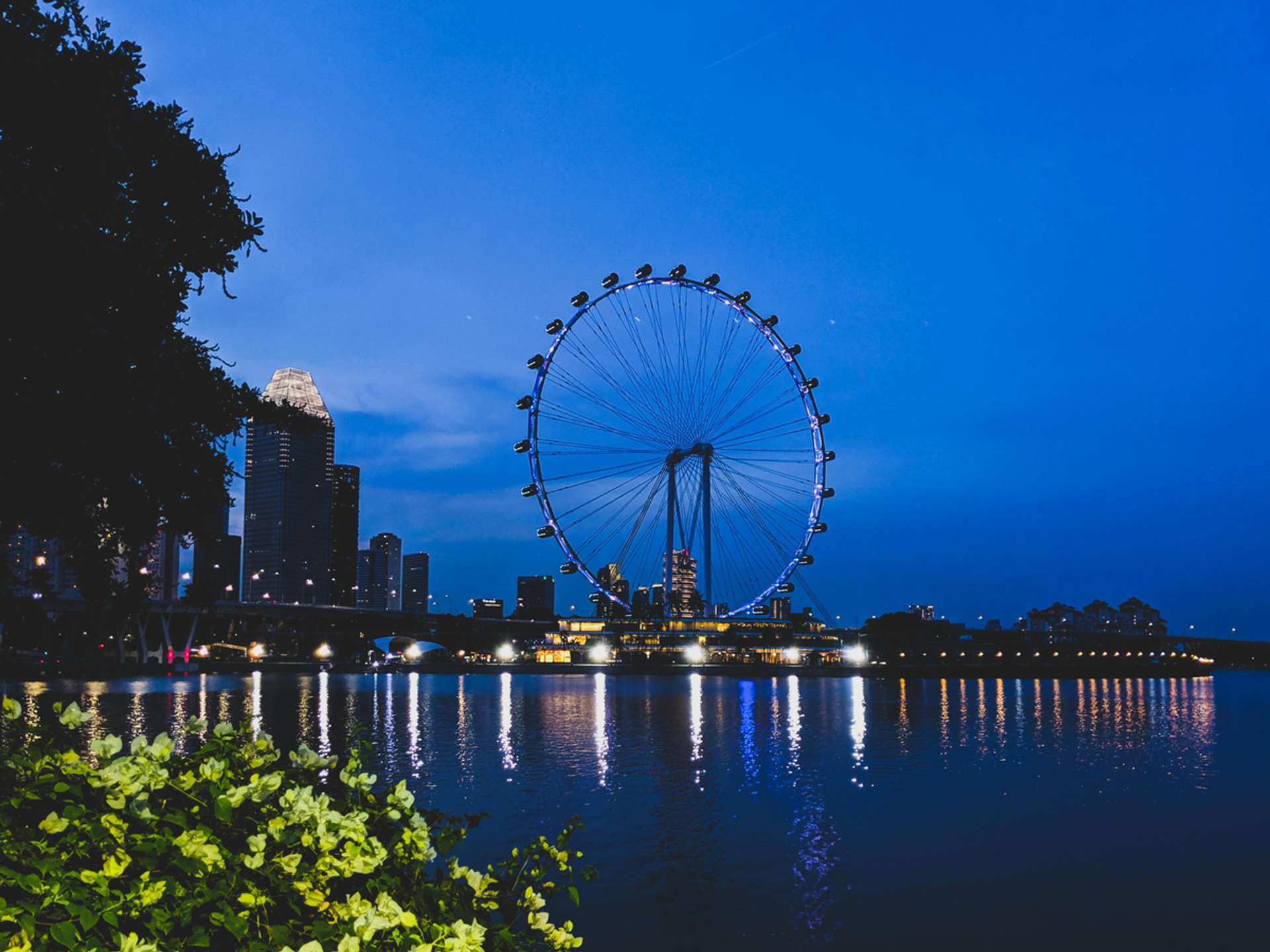 10 Best Tours and Trips in Singapore in 2025/2026 - Compare Prices