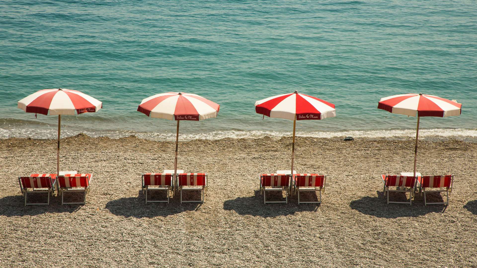 Sorrento Beach Trips