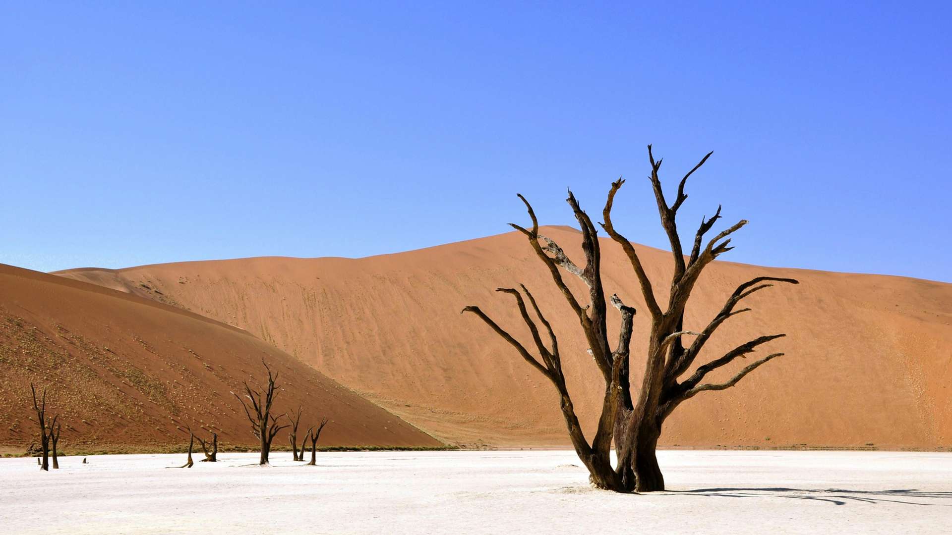 Sossusvlei Tours and Trips