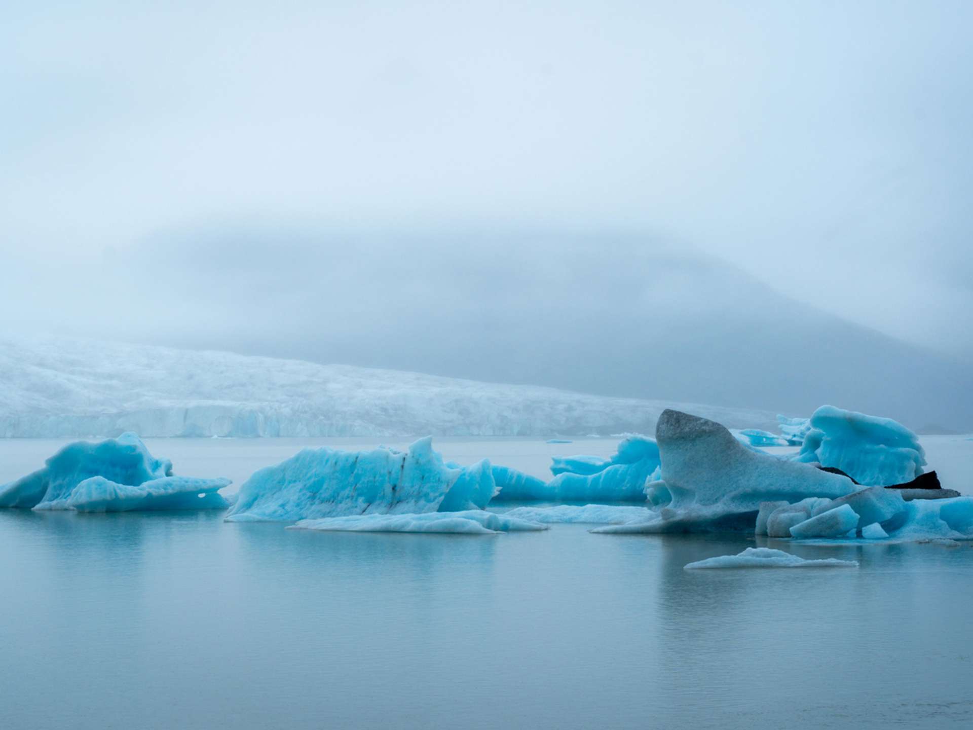 Southern Greenland Tours and Trips