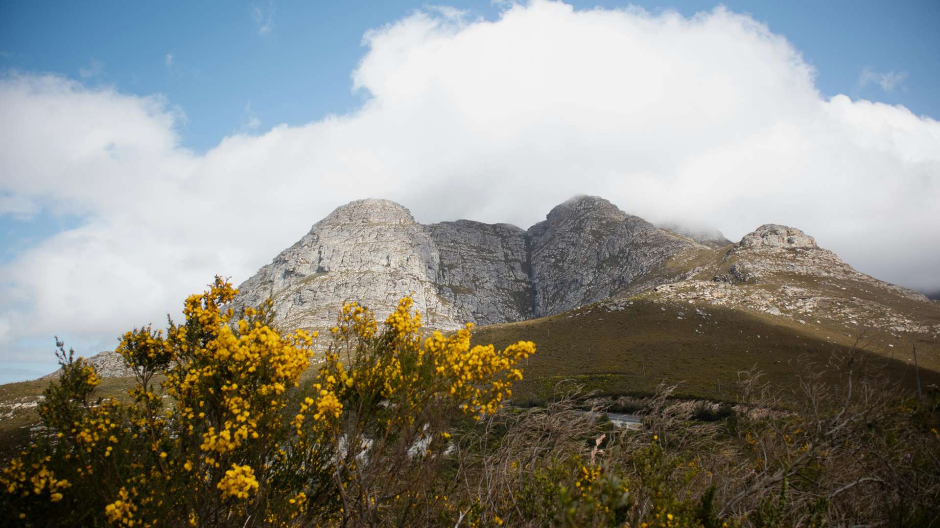 Stellenbosch Tours and Trips