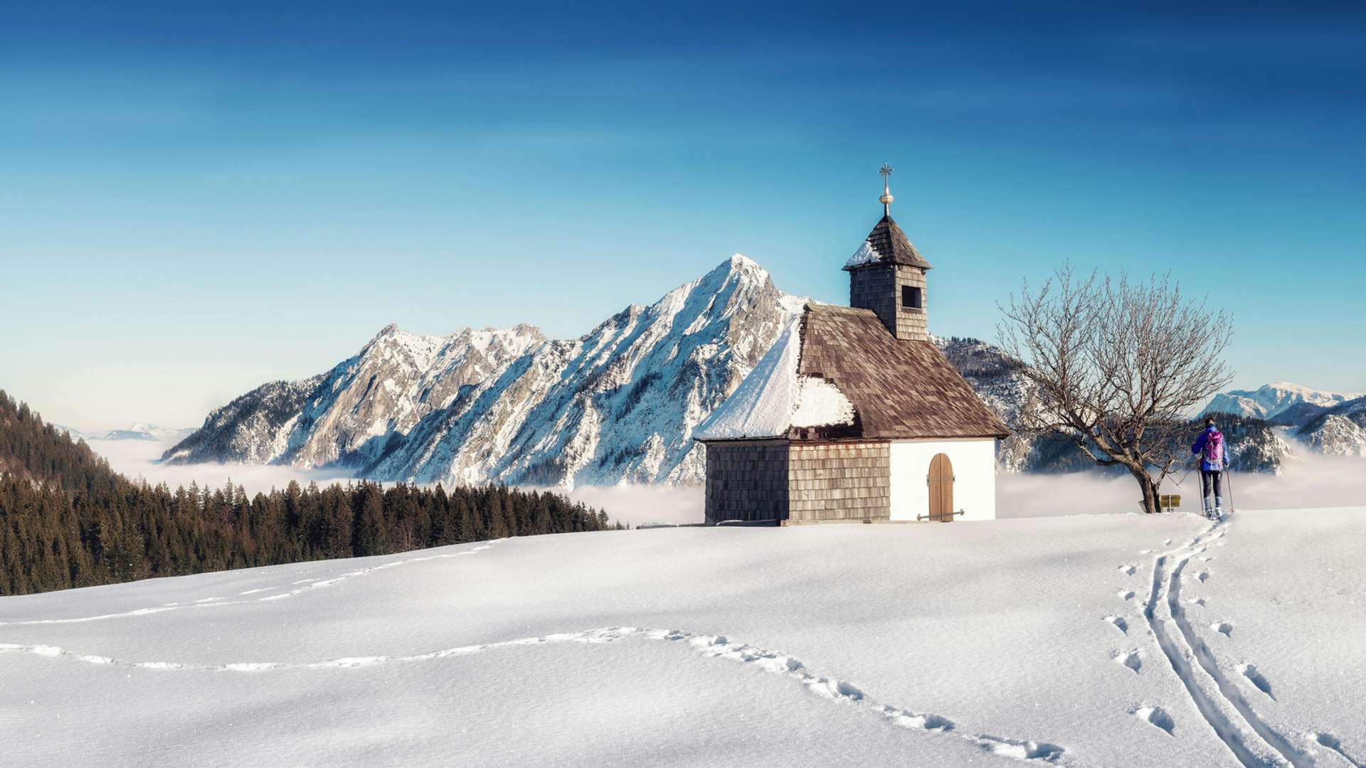 Strobl Tours and Trips