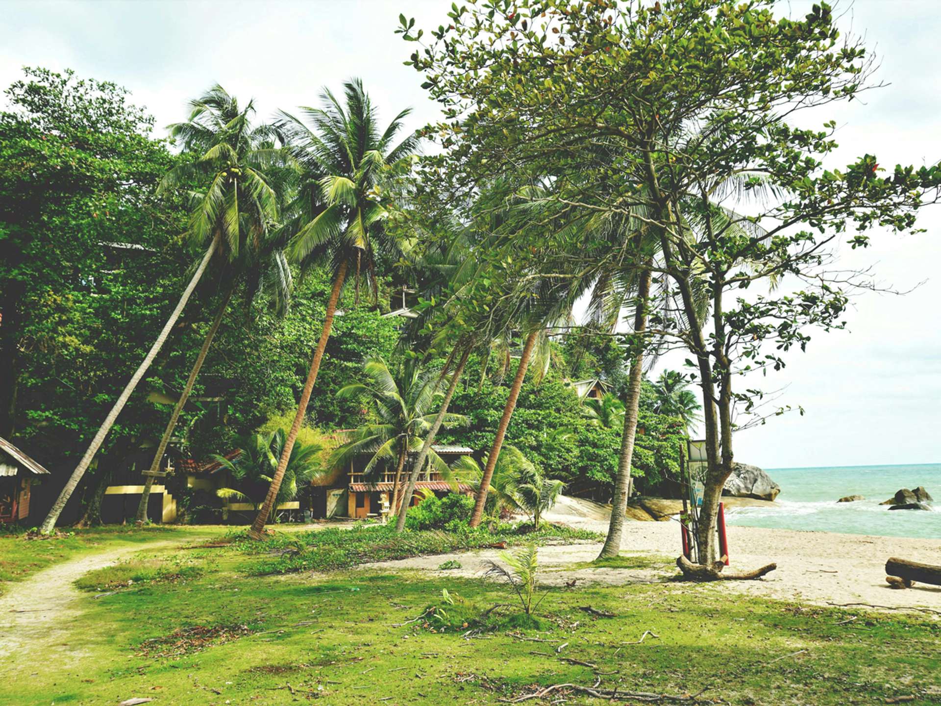 10 Best Tours and Trips in Surat Thani in 2025/2026 - Compare Prices