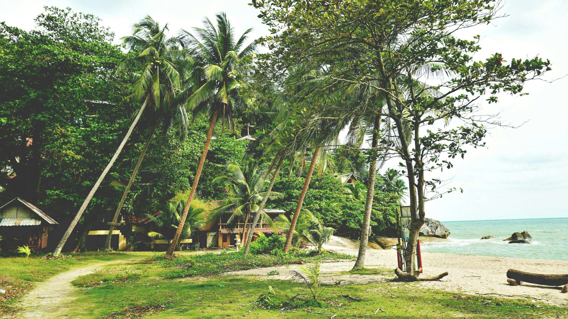Surat Thani Tours and Trips