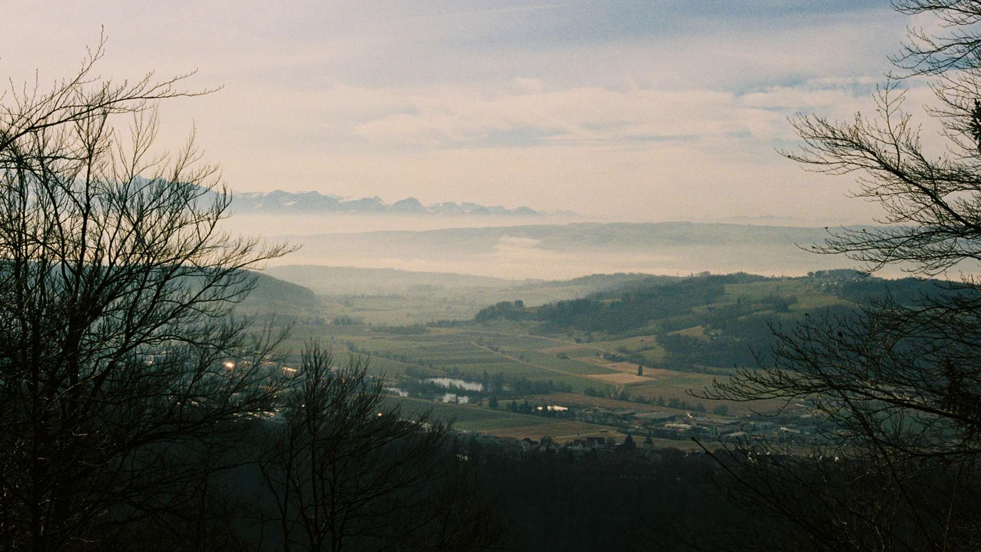 Swiss Alps Tours and Trips