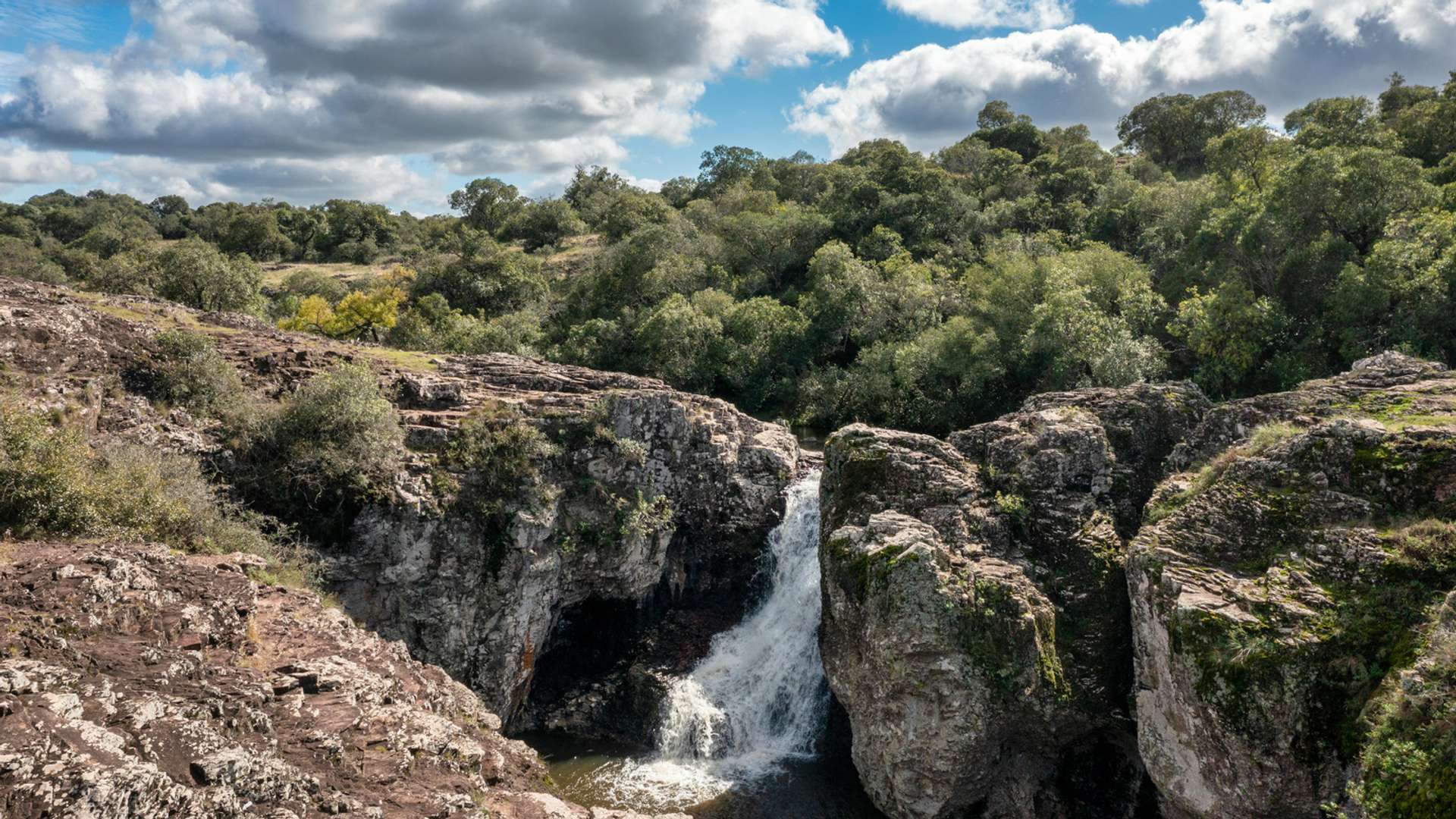 Tacuarembo Tours and Trips