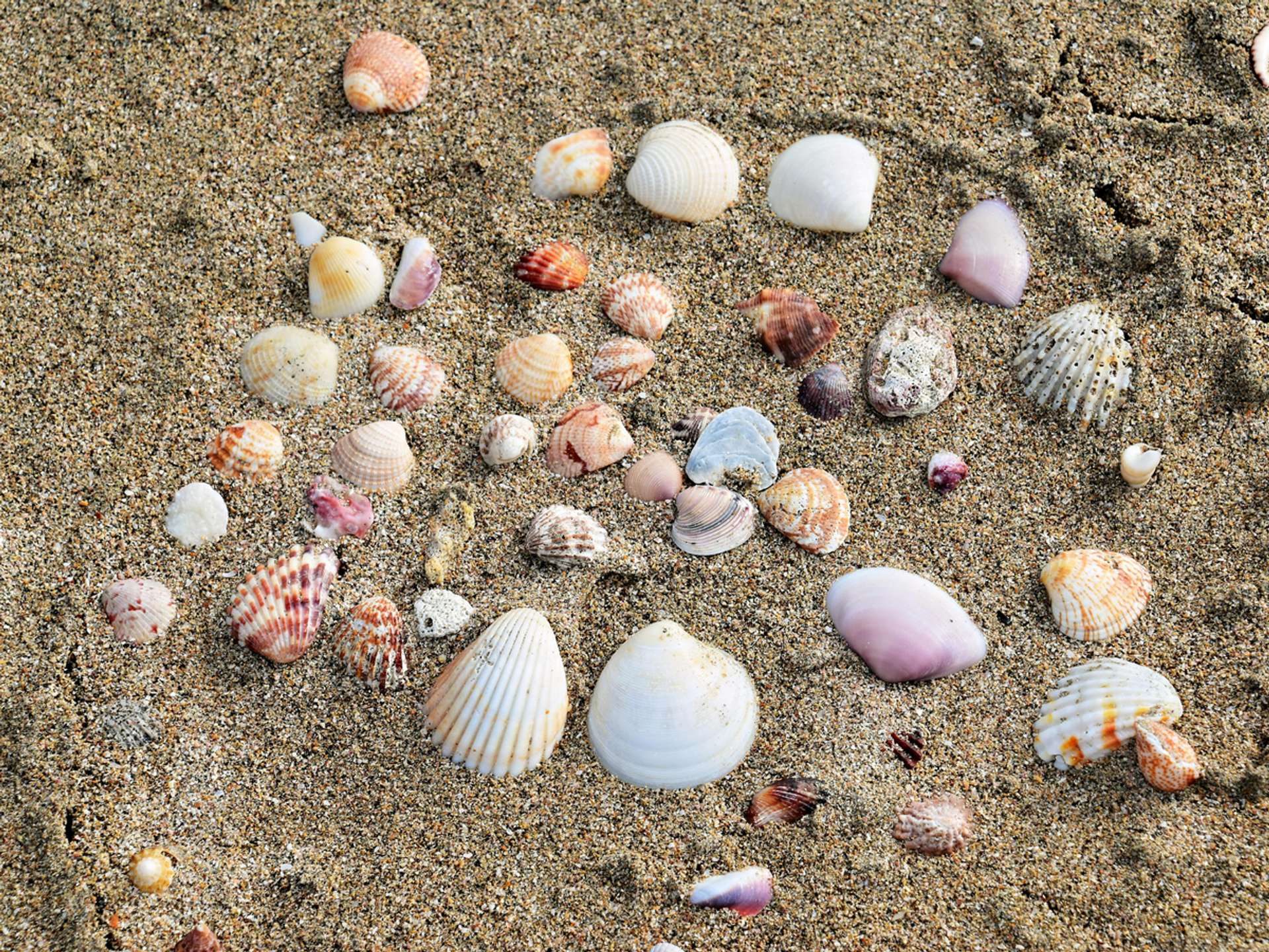 Tamarindo Beach Beach Trips in 2025/2026