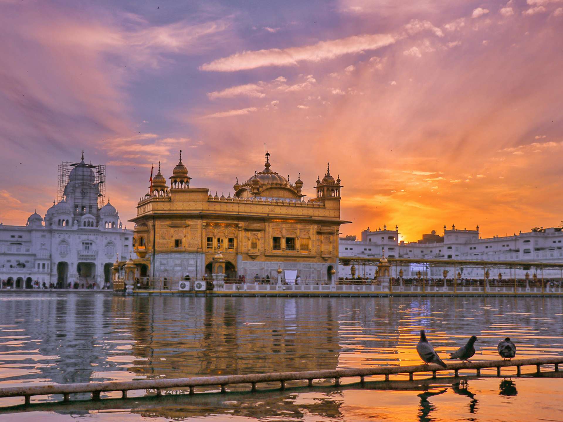 10 Best Tours and Trips in The Golden Triangle in 2025/2026 - Compare Prices