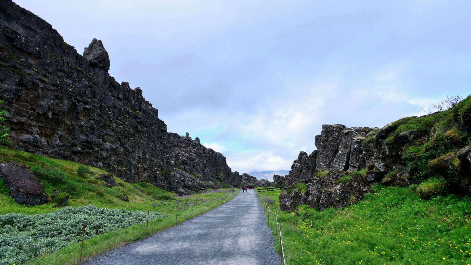 Thingvellir National Park Tours and Trips