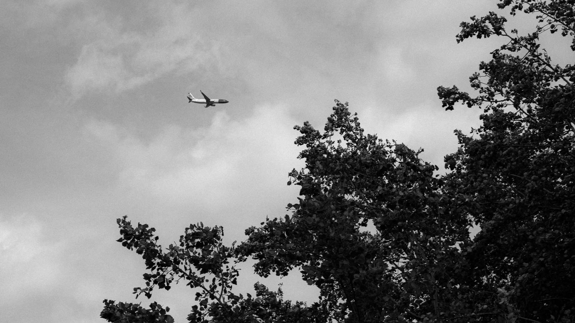 Tokaj Tours and Trips