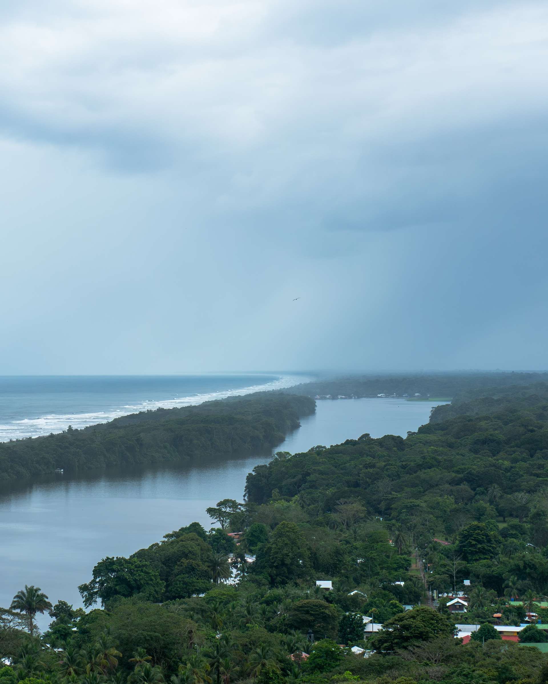 10 Best Tours and Trips in Tortuguero National Park in 2025/2026 - Compare Prices